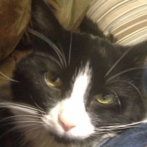 Meet your Posher, Brandon